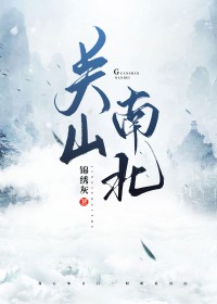 关山南北小说txt百度网盘